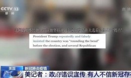 爆料新冠美国记者视频播放,揭露疫情真相，视频播放引发热议